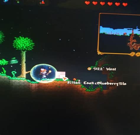 terraria strange plating|r/Terraria on Reddit: I’m playing my first Modded play though and .
